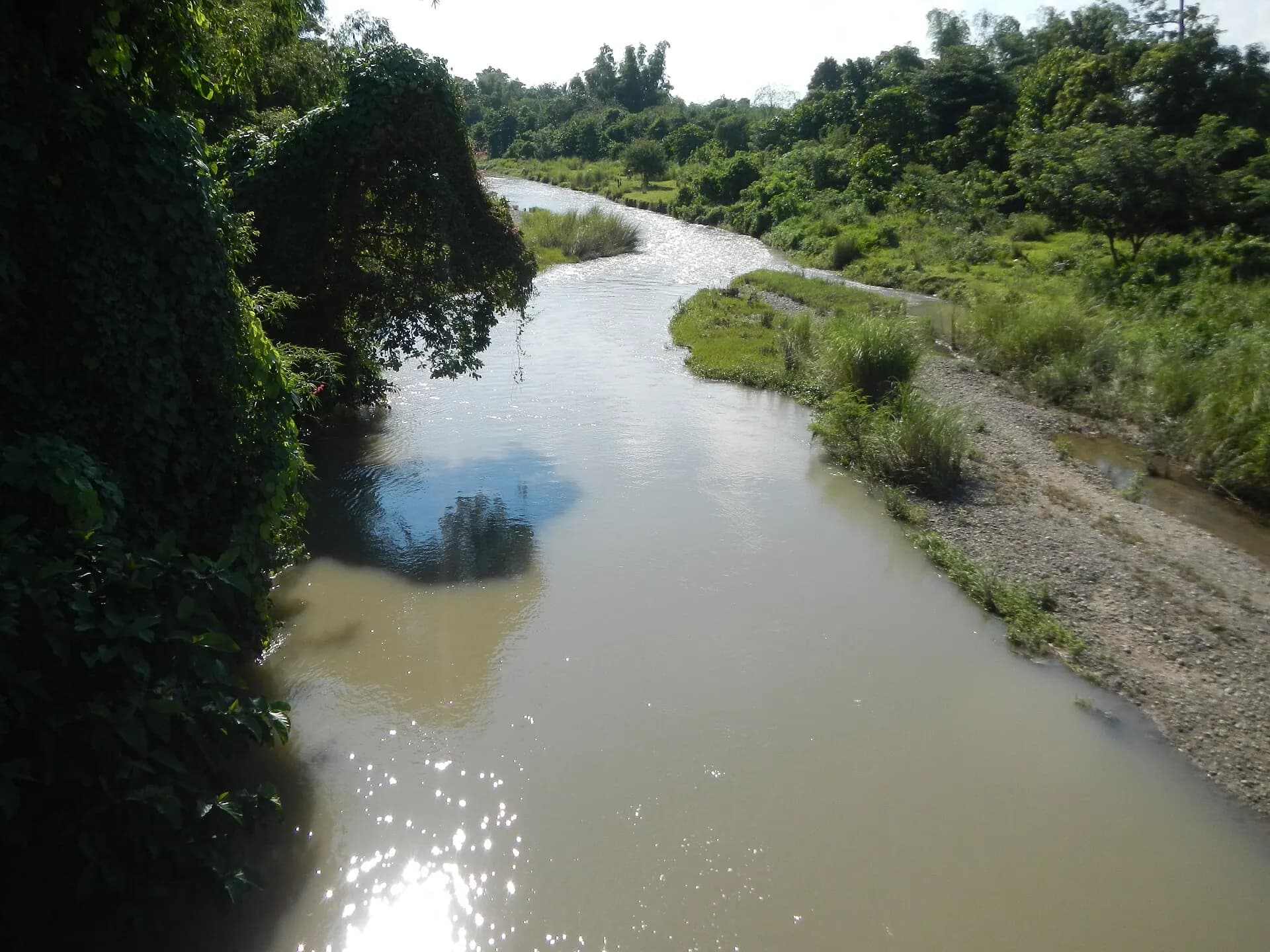 A brown creek winding between thick green banks, seen from a bridge.